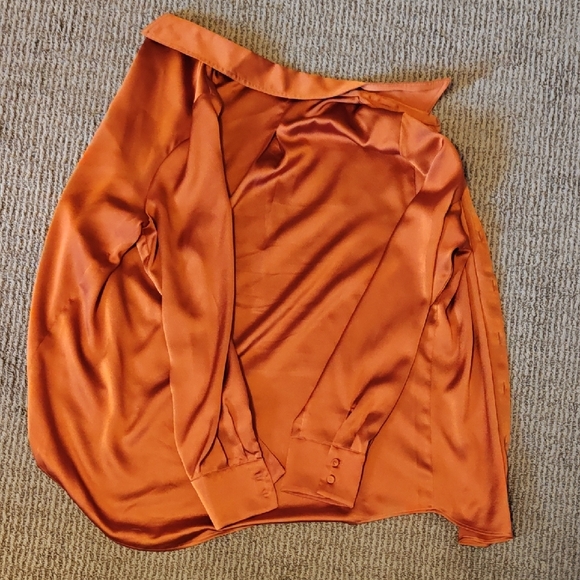 Lauras Copper Blouse - Picture 2 of 2